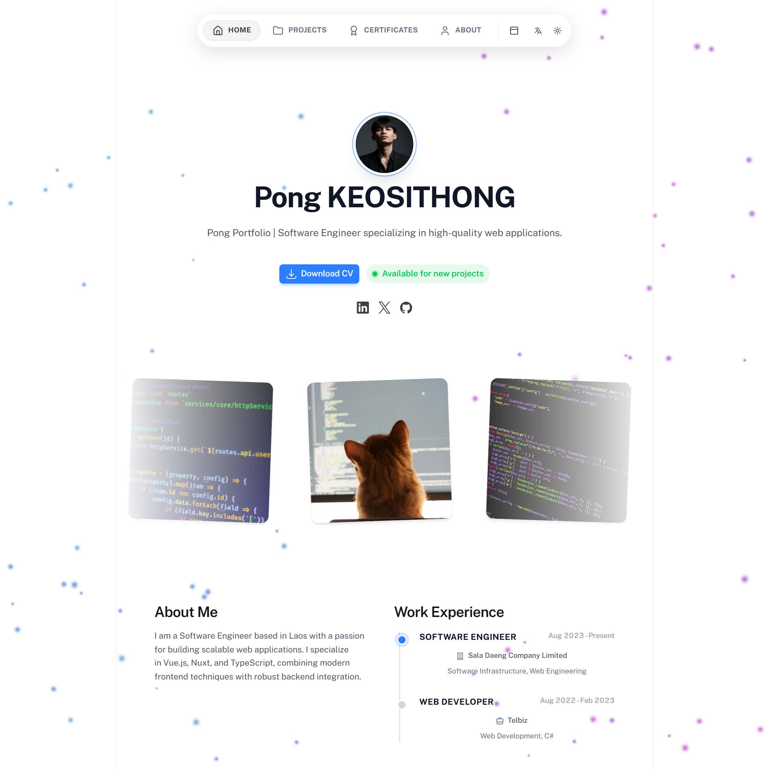 ໜ້າທຳອິດຂອງ Pong Portfolio